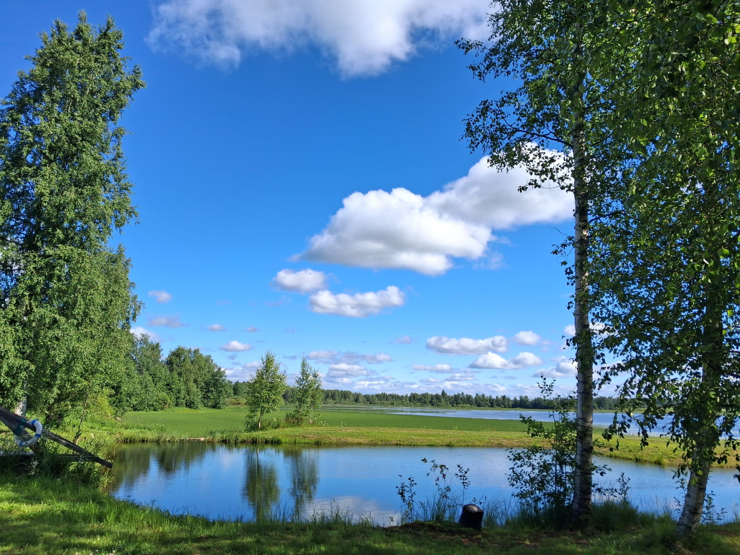 Lampi, johon pääsee saunasta Järvi ja koivuja kauniina kesäpäivänä.