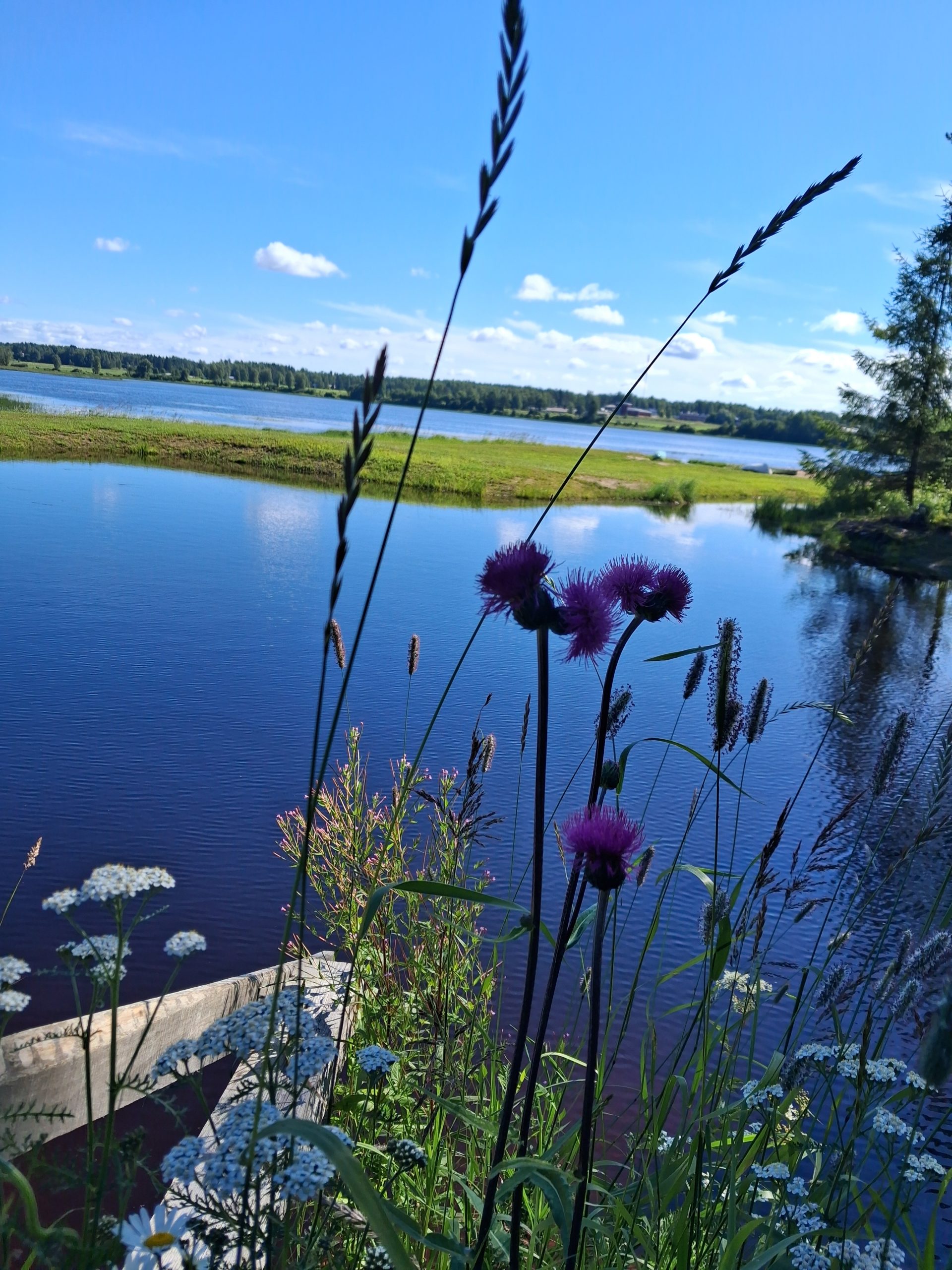 Saunan vieressä ihana lähdelampi Saunan vieressä ihana lähdelampi